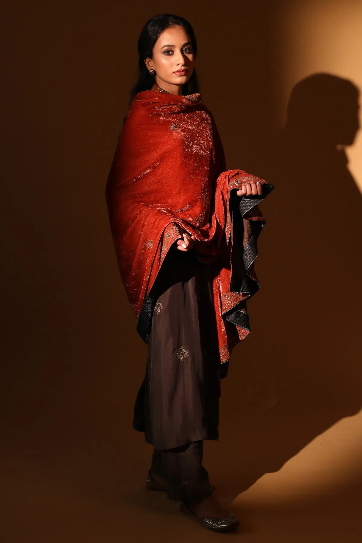 Ari Zardosi Dushala
